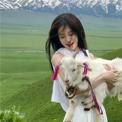 春光灿烂猪八戒2000